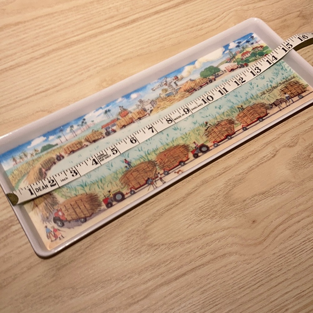 Melamine tray signed Jill Walker Barbados - Picture 10 of 11